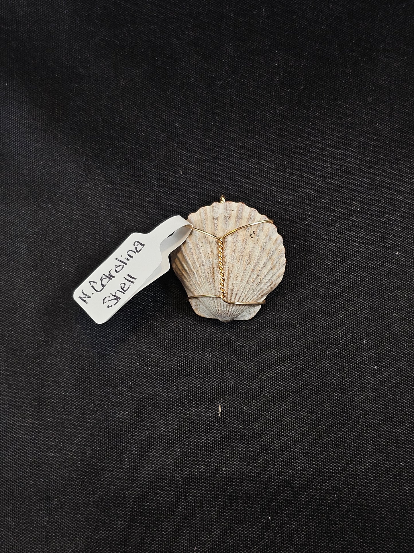 Small Shell Pendant