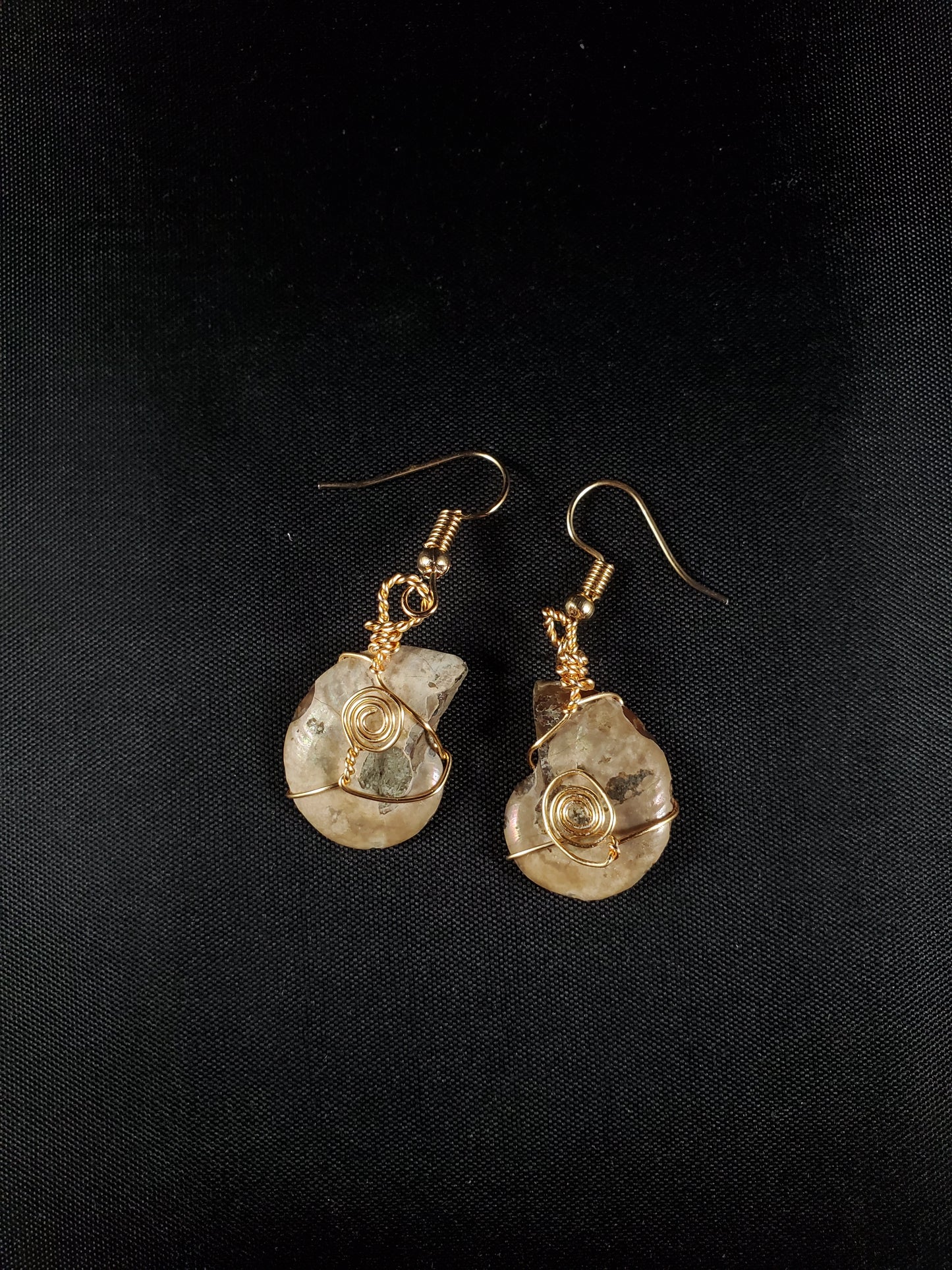 Ammonite Earrings