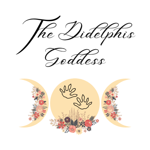 The Didelphis Goddess